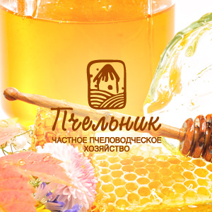 Разработка визуального образа торговой марки меда частного пчеловодческого хозяйства «Пчельник»: дизайн товарного знака, константы фирменного стиля, дизайн сайта.
